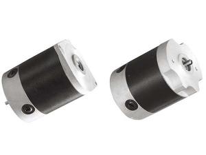 100mm Brushed DC Motor