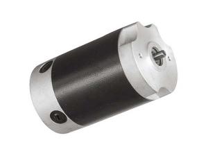 110mm Brushed DC Motor