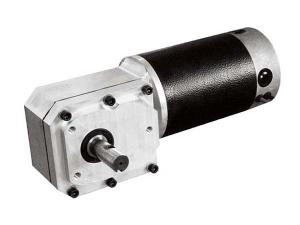 Worm Gear Motor ZDM1950